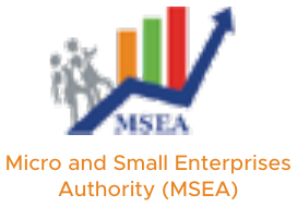 Micro and Small Enterprises Authority